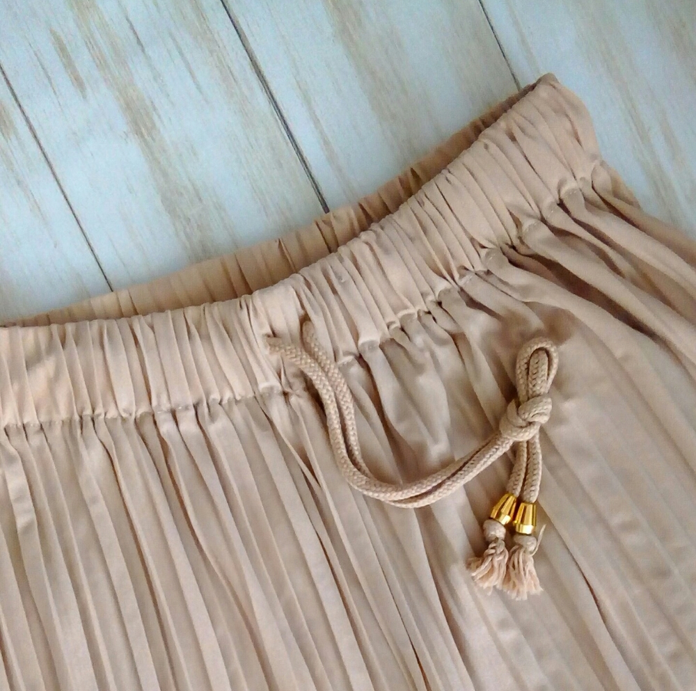PLUS Blush Pleated Chiffon Wide Legged Pants